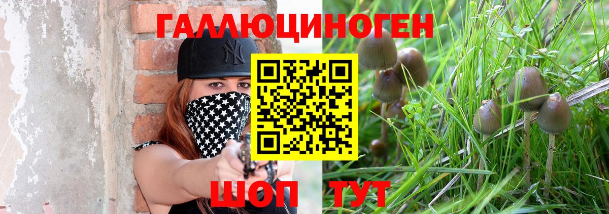 Псилоцибиновые грибы Magic Shrooms  Вход с VPN  Якутск 